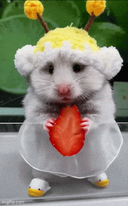 Acid GIFs, January 25 (25 gifs)
