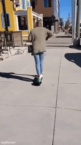 Acid GIFs, January 25 (25 gifs)