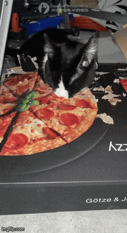 Acid GIFs, January 25 (25 gifs)