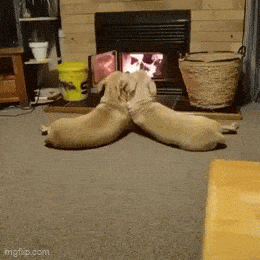 Acid GIFs, January 25 (25 gifs)