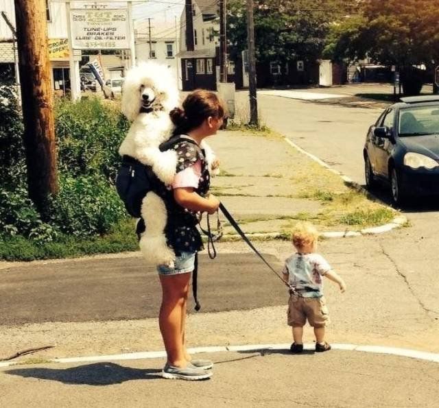 Weird Finds And Situations (40 pics)