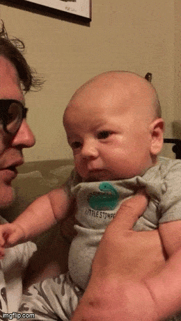 Acid GIFs, January 26 (25 gifs)