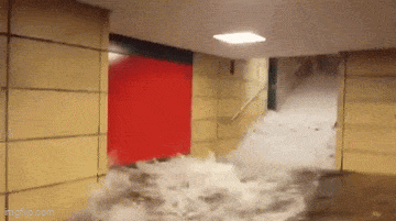 Acid GIFs, January 26 (25 gifs)