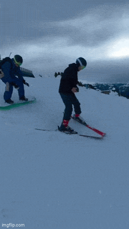 Acid GIFs, January 26 (25 gifs)