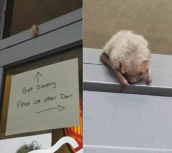 Daily Pictures. Part 1 (66 pics)