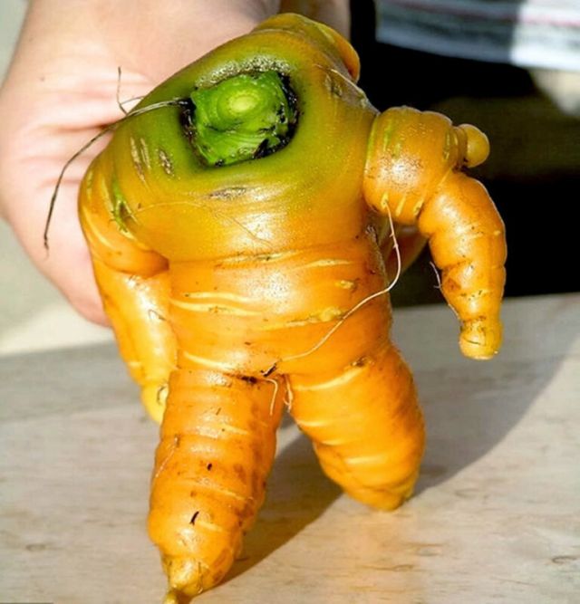 Unusual Vegetables 19 pics)