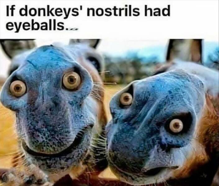 Daily Pictures. Part 2 (66 pics)