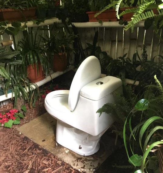 Unusual Bathrooms (19 pics)