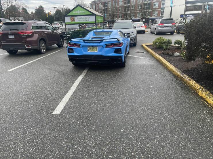 Daily Pictures. Part 1 (66 pics)