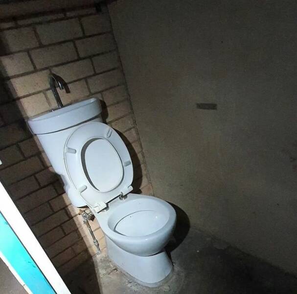 Daily Pictures. Part 1 (66 pics)