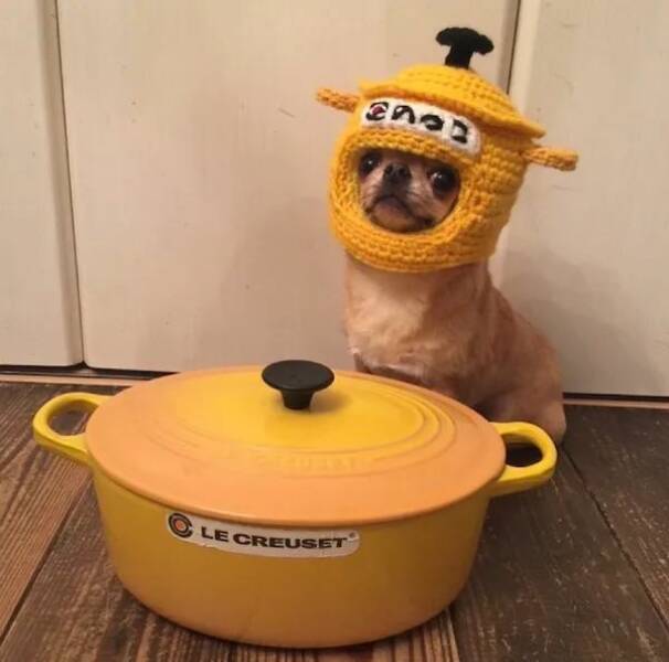 Daily Pictures. Part 1 (66 pics)