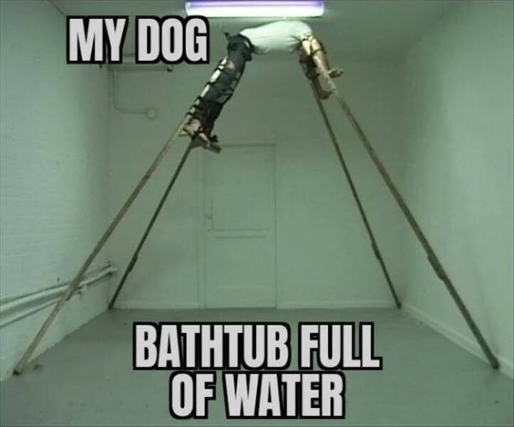 Daily Pictures. Part 2 (65 pics)