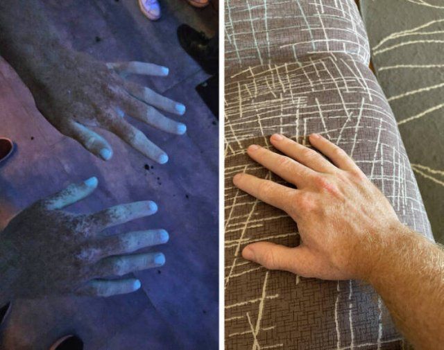 Visual Contrasts (17 pics)