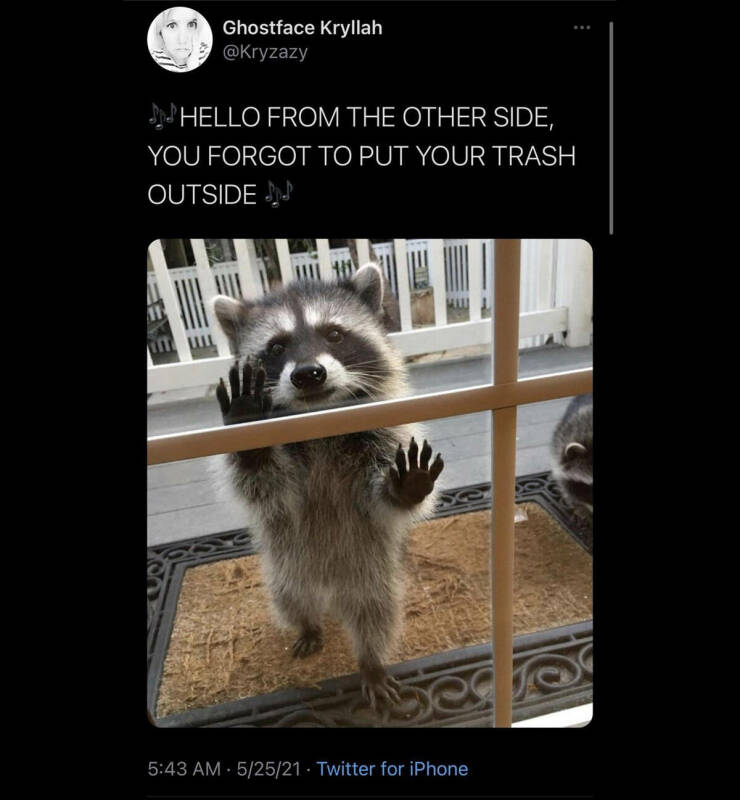 Daily Pictures. Part 2 (71 pics)