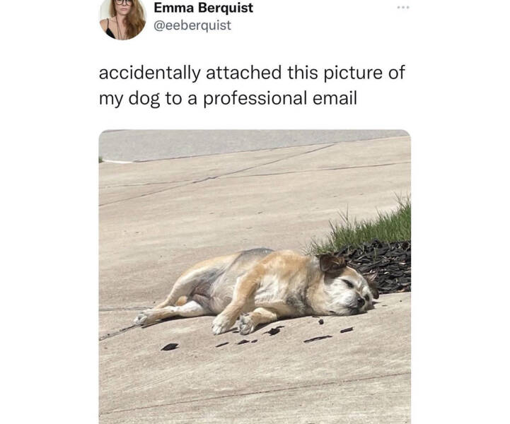 Daily Pictures. Part 2 (71 pics)