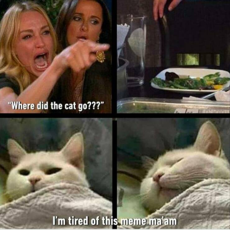 Daily Pictures. Part 2 (71 pics)