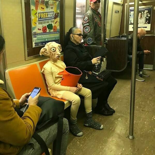 Daily Pictures. Part 2 (66 pics)