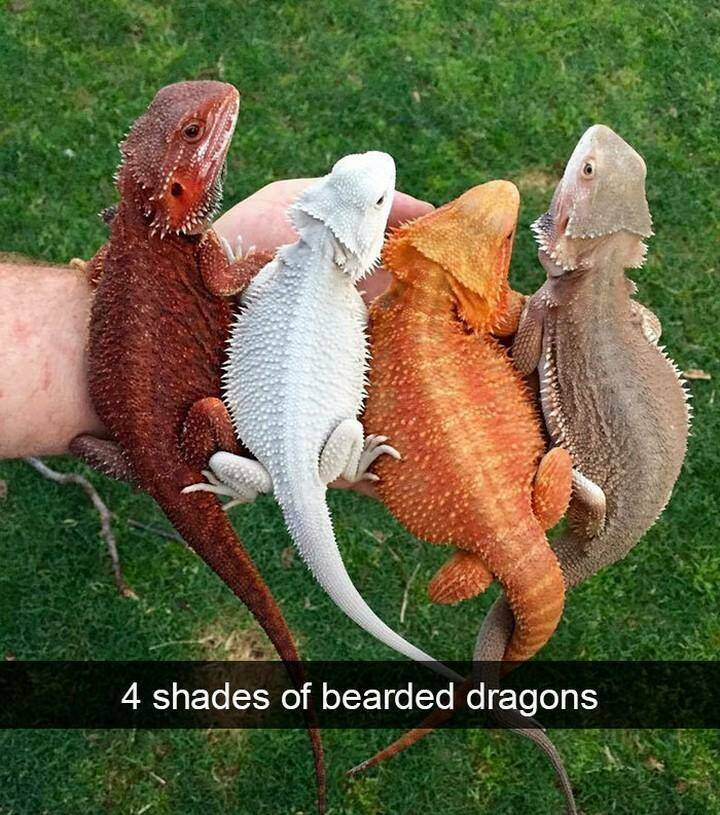 Daily Pictures. Part 2 (66 pics)
