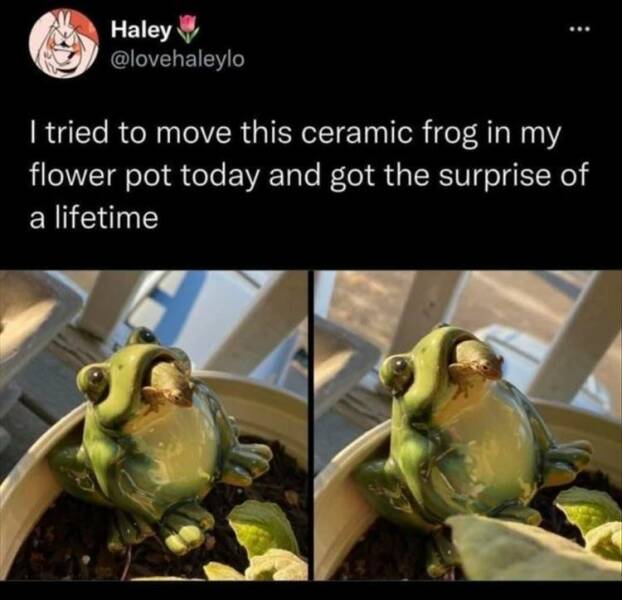 Daily Pictures. Part 2 (66 pics)