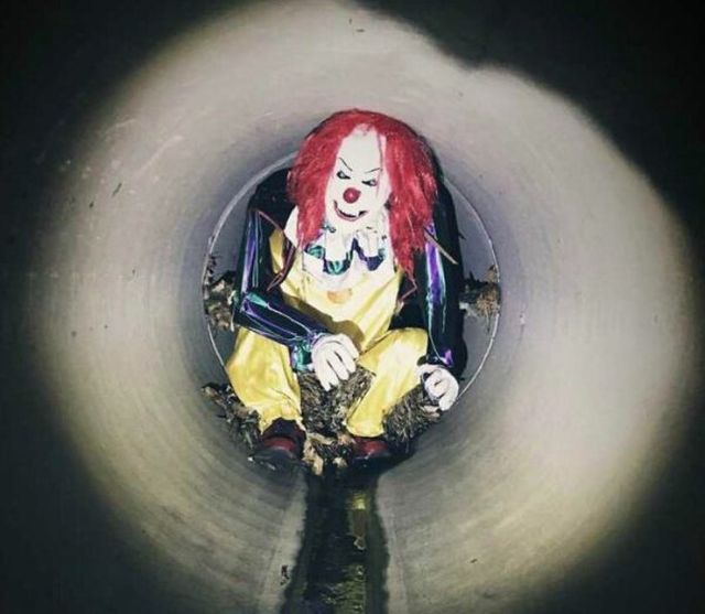 Creepy Finds (14 pics)
