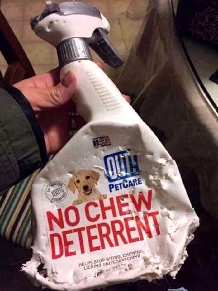 Funny And Ironic Situations (21 pics)