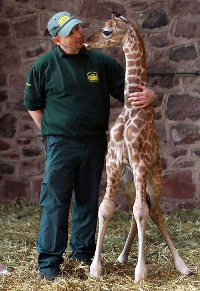 Giant Things (18 pics)