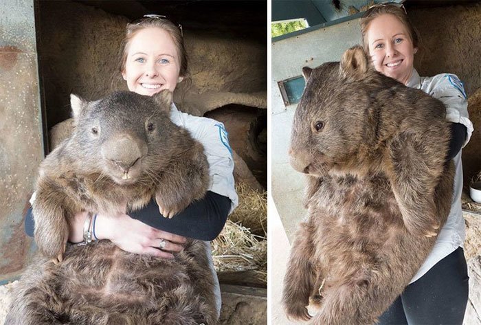 Giant Things (18 pics)