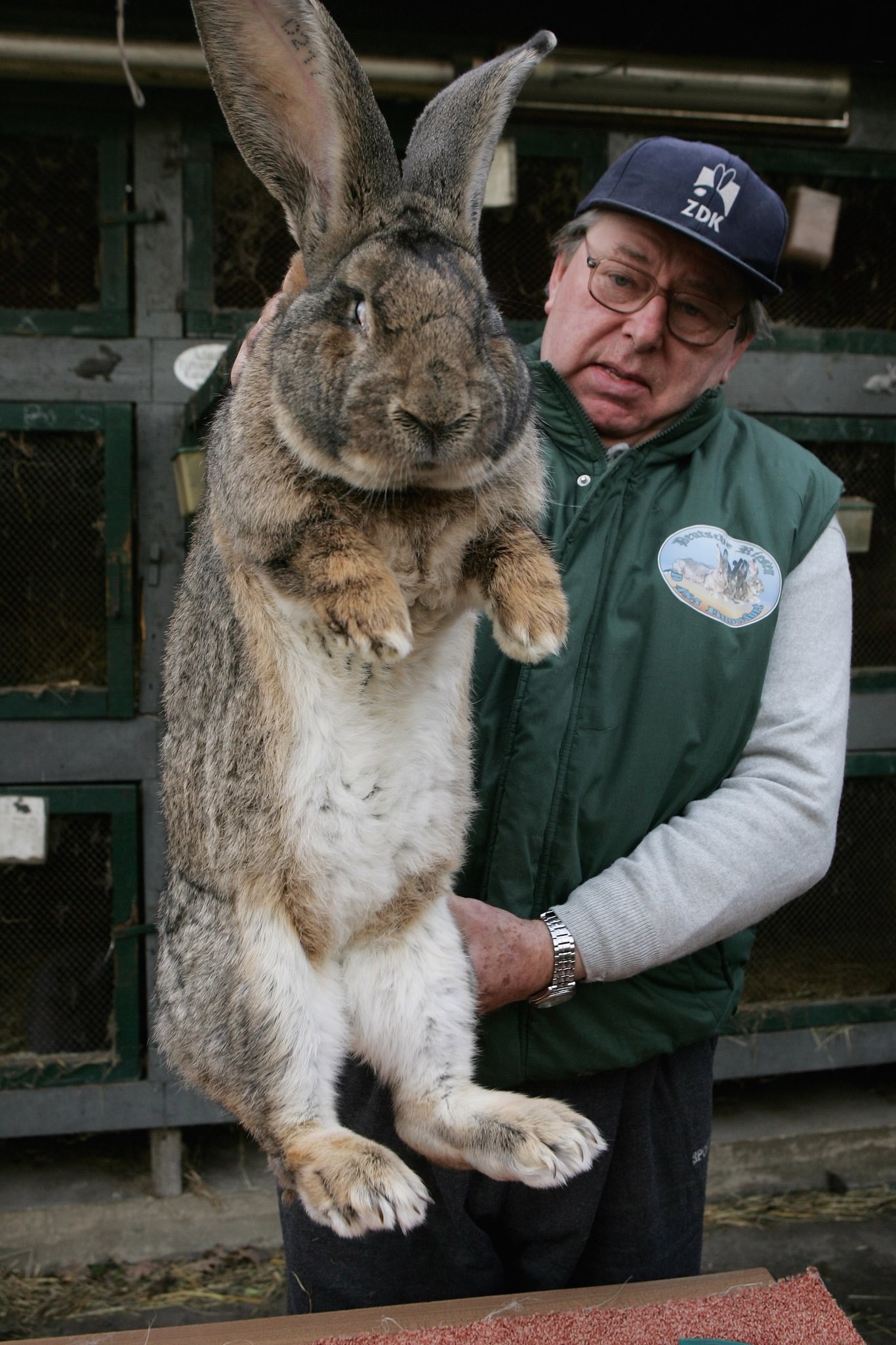 Giant Things (18 pics)