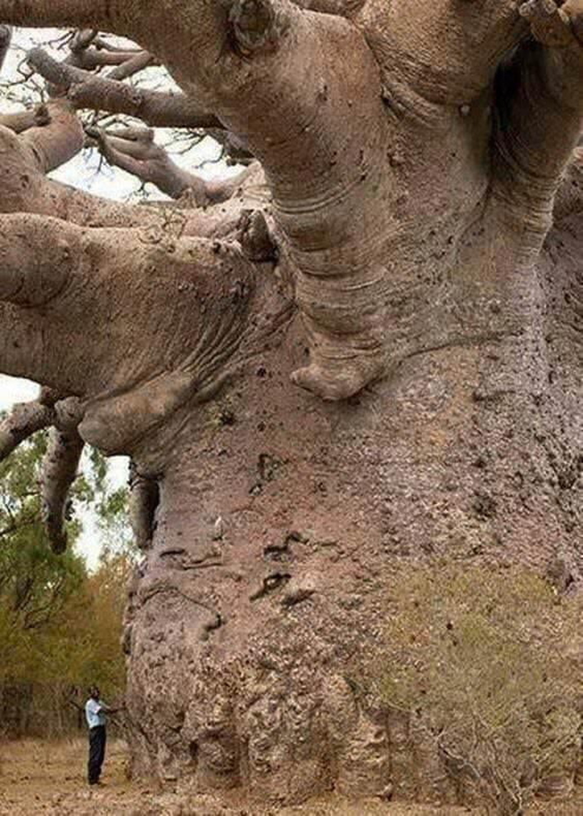 Giant Things (18 pics)