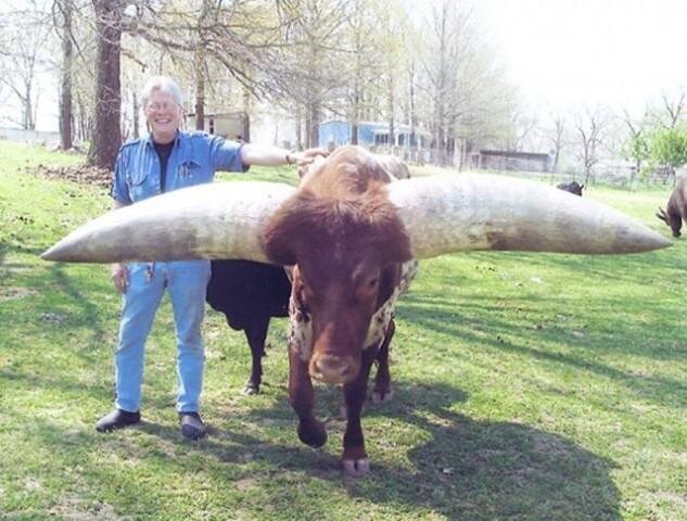 Giant Things (18 pics)