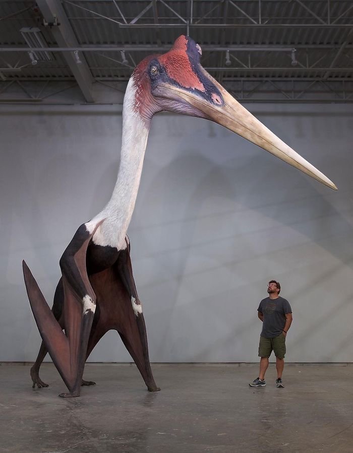 Giant Things (18 pics)