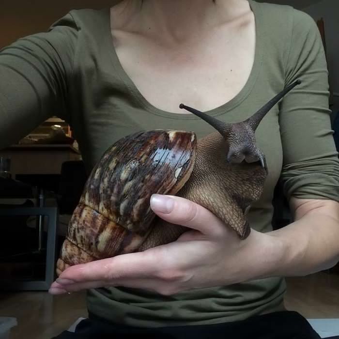 Giant Things (18 pics)