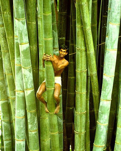Giant Things (18 pics)