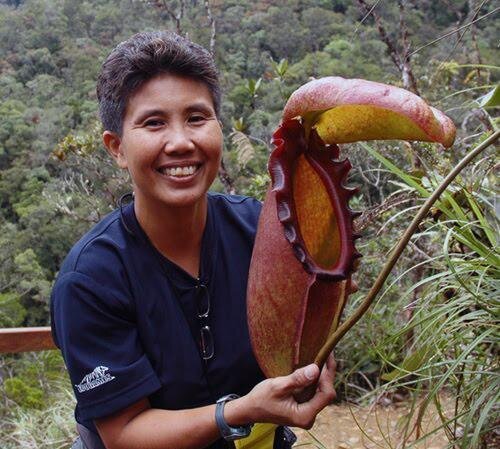 Giant Things (18 pics)