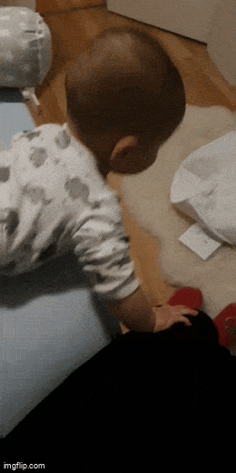 Acid GIFs, February 6 (25 gifs)