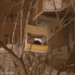 Acid GIFs, February 6 (25 gifs)