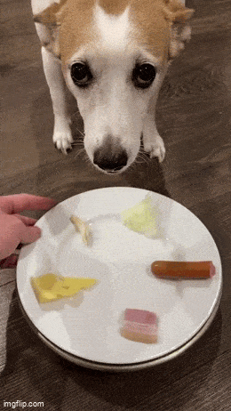 Acid GIFs, February 6 (25 gifs)