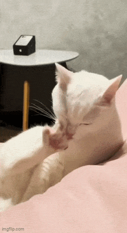Acid GIFs, February 6 (25 gifs)