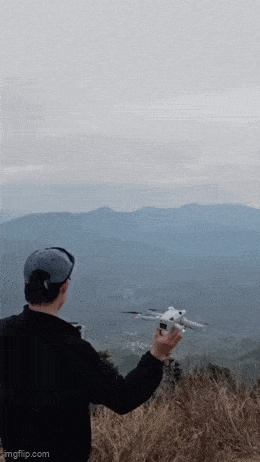 Acid GIFs, February 7 (25 gifs)