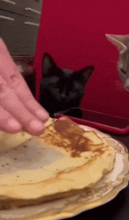 Acid GIFs, February 7 (25 gifs)