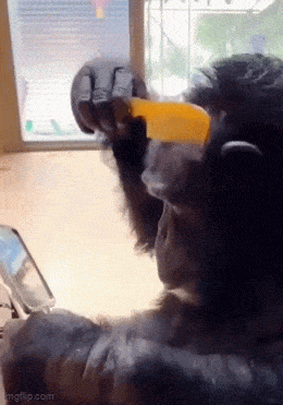 Acid GIFs, February 7 (25 gifs)