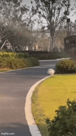 Acid GIFs, February 7 (25 gifs)