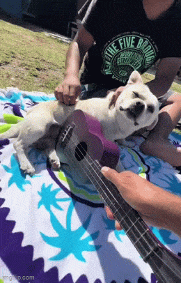 Acid GIFs, February 7 (25 gifs)