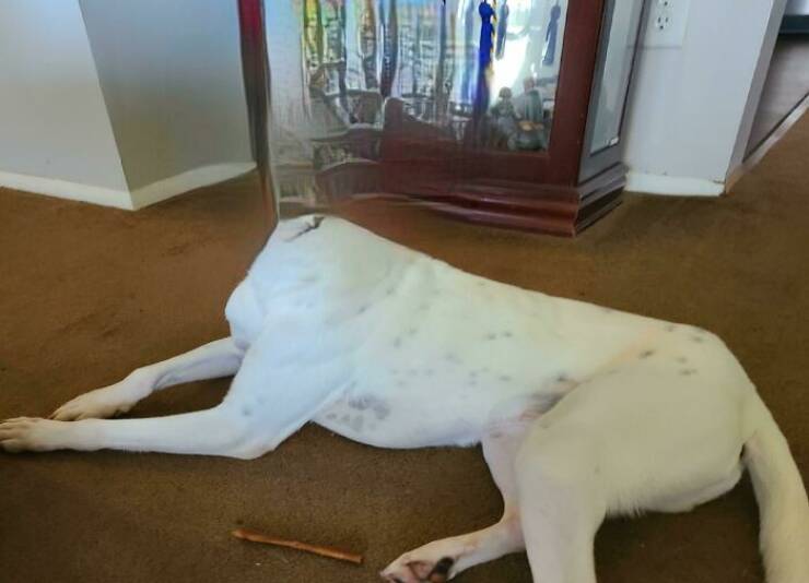 Unsuccessful Panoramic Photos (25 pics)
