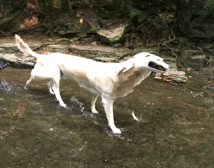 Unsuccessful Panoramic Photos (25 pics)