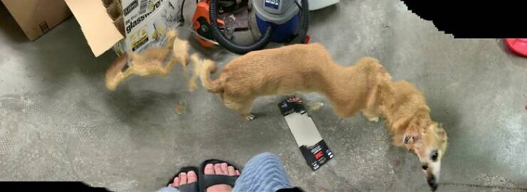 Unsuccessful Panoramic Photos (25 pics)