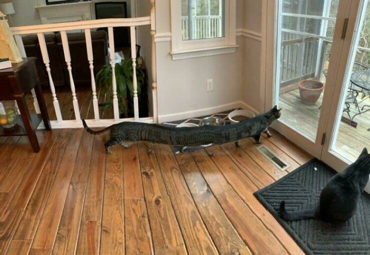 Unsuccessful Panoramic Photos (25 pics)