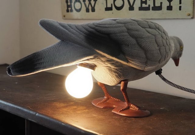 Funny And Useless Inventions (20 pics)