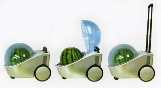 Funny And Useless Inventions (20 pics)