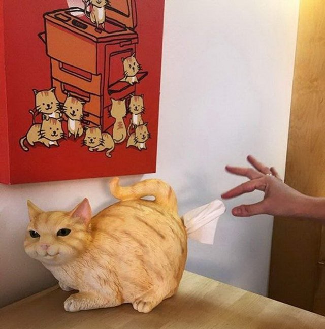 Funny And Useless Inventions (20 pics)
